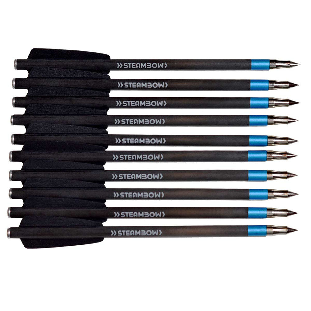 steambow-stinger-carbon-match-pfeile-lijus-sports