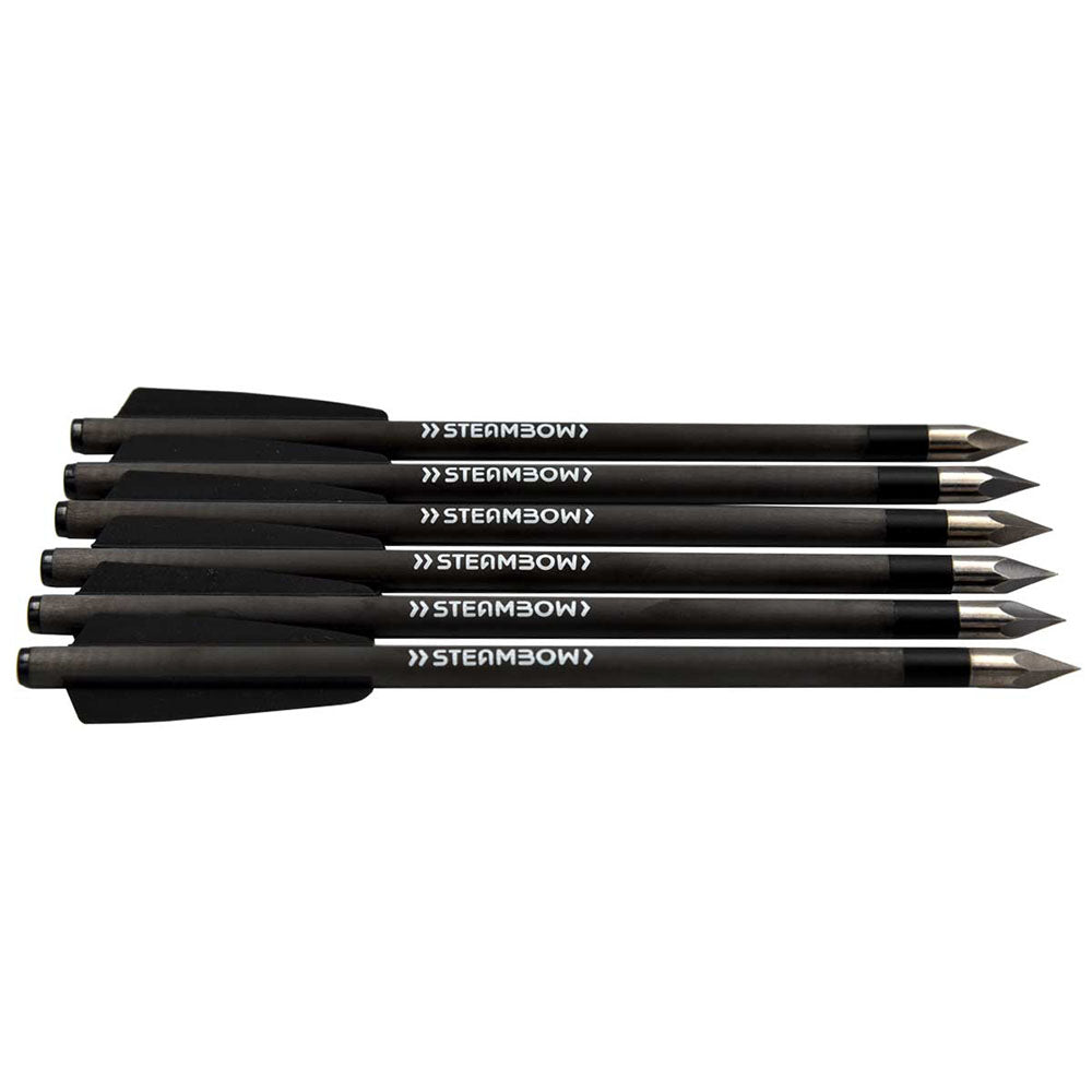 steambow-leichte-carbon-bodkinpfeile1-lijus-sports