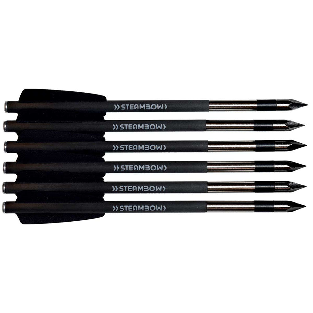 steambow-stinger-carbon-bodkinpfeile-lijus-sports