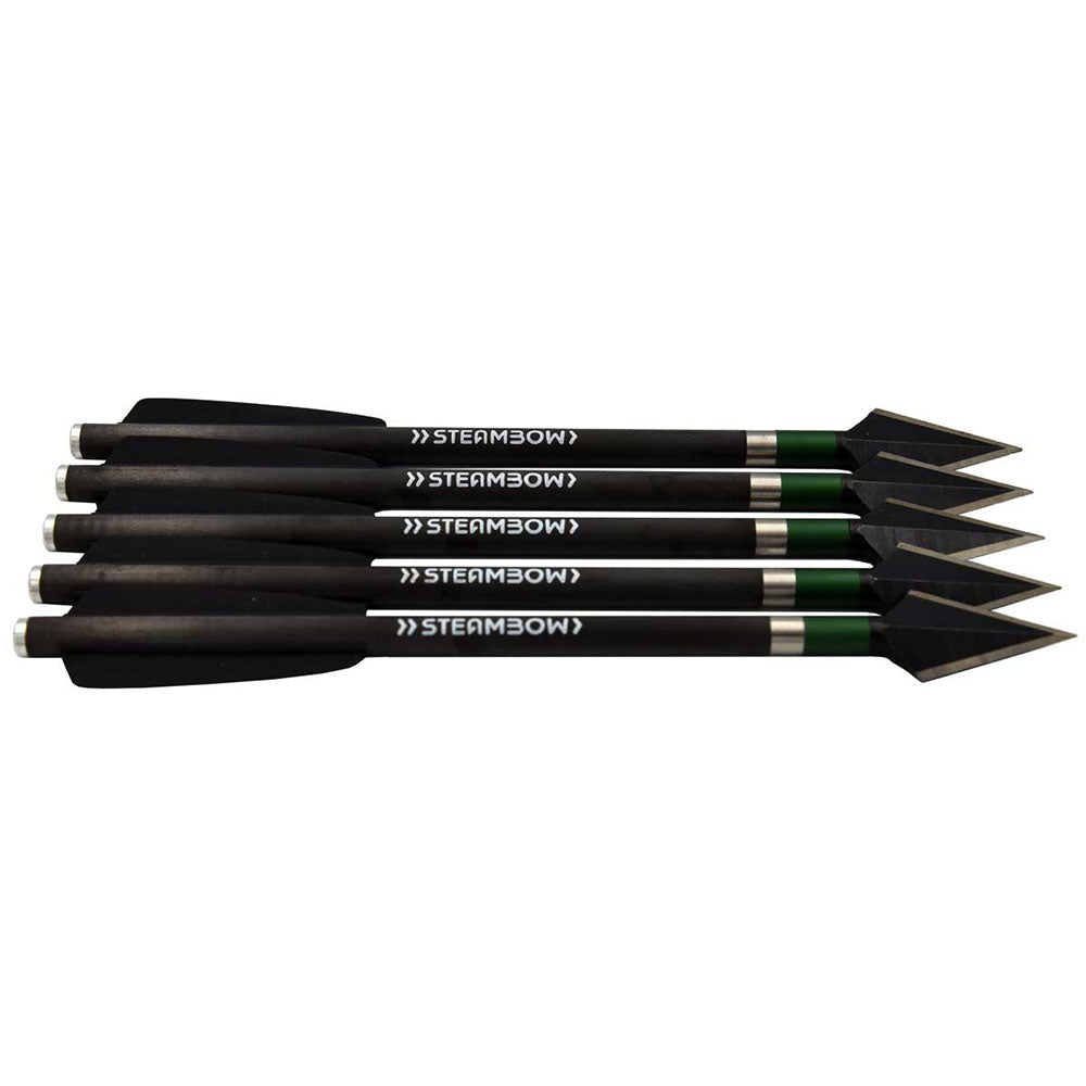 steambow-stinger-schwere-carbon-kiegspfeile-1-lijus-sports